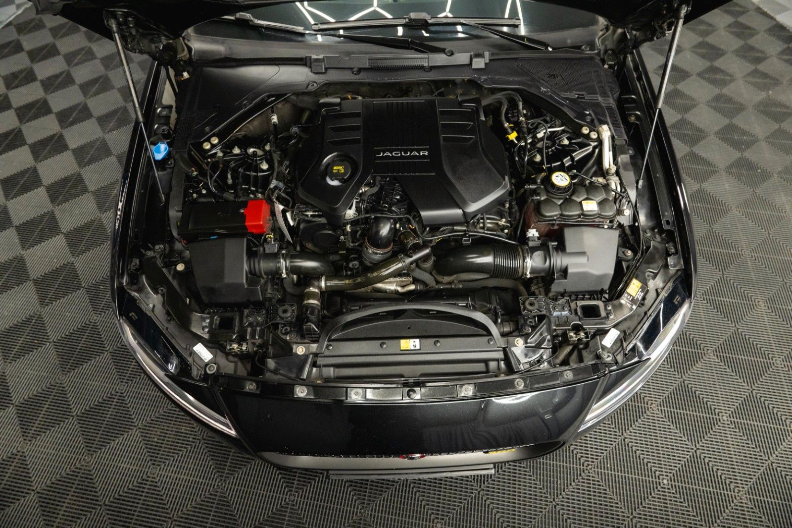 Fahrzeugabbildung Jaguar XF 300 Sport Black Edition | Pano | LED | 20Zoll