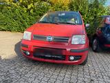 Fiat Panda 1,2 Guter Zustand Panorama Dach - Fiat Panda Gebrauchtwagen in Hannover