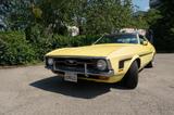 Ford Mustang - gebrauchte Ford Mustang aus dem Jahr 1971