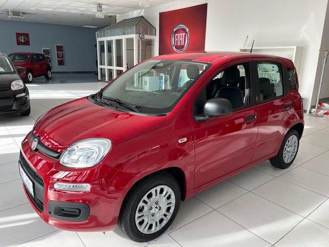 Fiat Panda Pandina ICON- Klima*PDC*Tempomat*Bluetooth