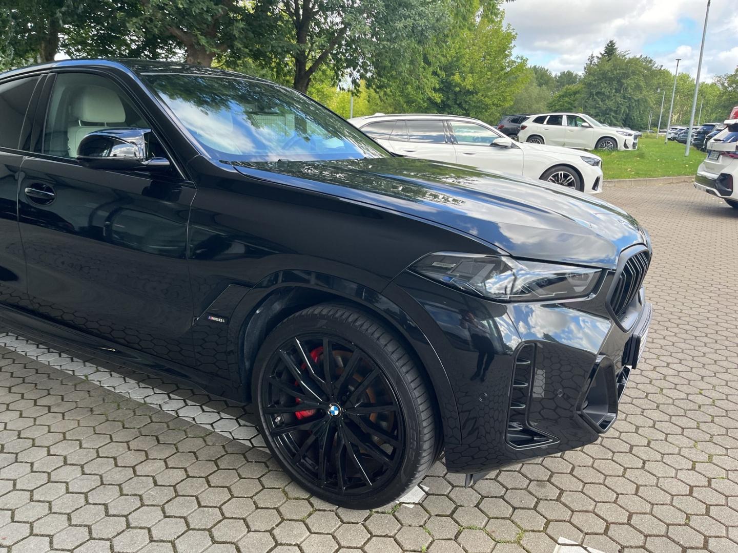 BMW X6 M60 i xDrive/M Sport Pro/StandHZG/AHK/Leder