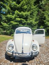 Volkswagen Käfer Export, Baujahr 1962 - Volkswagen Käfer in Dresden