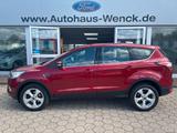 Ford Kuga 1,5 Titanium*1.HAND*AHK*STANDHEIZ*WINTER-PA - Ford Kuga: Standheizung