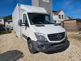Mercedes-Benz Sprinter II Pritsche 310/311/313/314/316 CDI - Mercedes-Benz Sprinter: Van, 313 Cdi