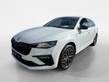 Skoda Scala Tour 1,0 TSI 85 kW 7-Gang-DSG / Infotainme - Skoda Scala: Tour