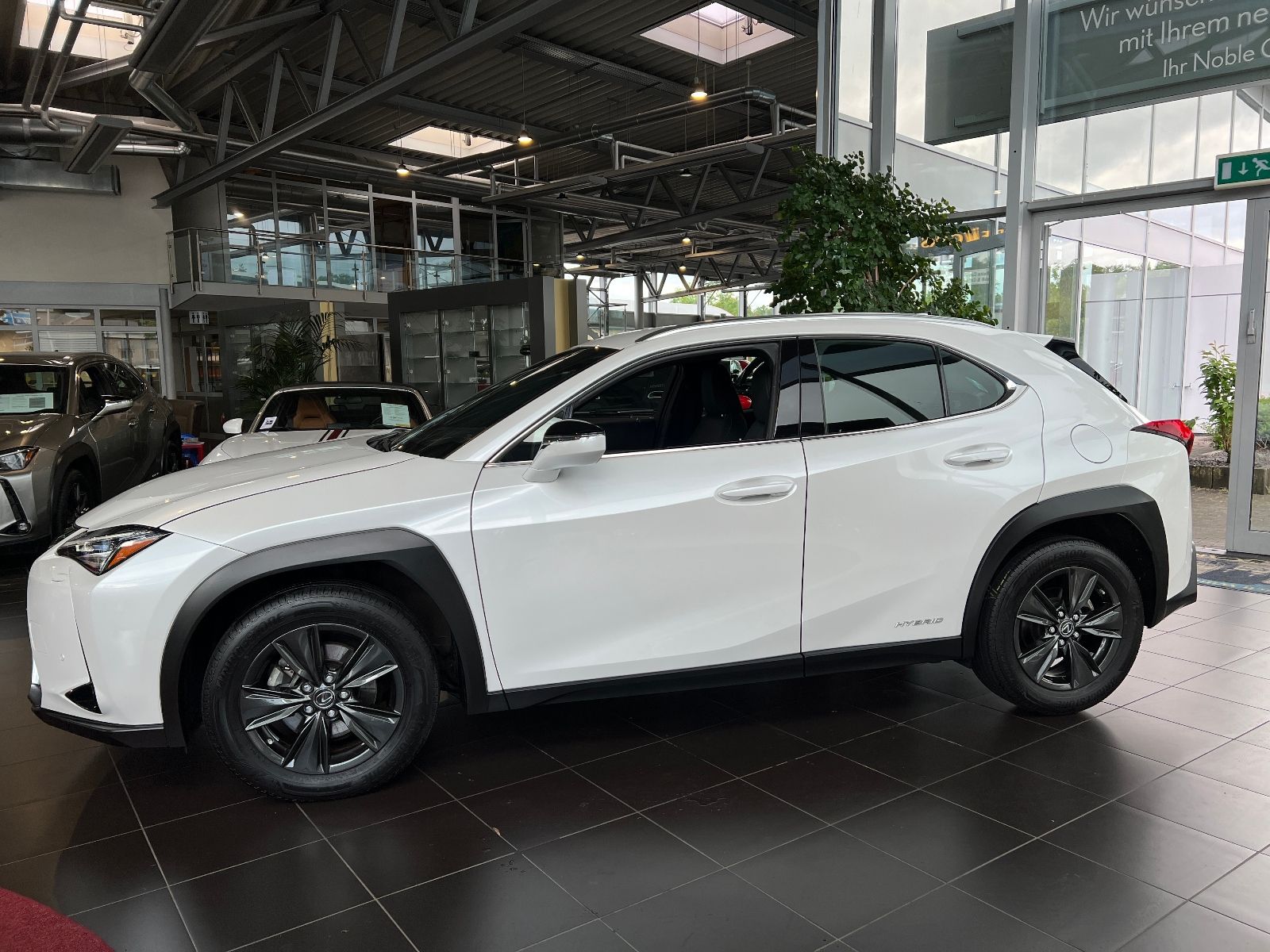 Fahrzeugabbildung Lexus UX 250h Launch Edition ACC RFK LED NAV