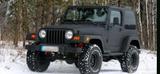 Jeep Wrangler Jeep TJ - Jeep Wrangler mit Benzin-Antrieb: Cabrio