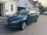 Volkswagen Golf 1.0 TSI BMT 63kW Comfortline Comfortline - Volkswagen Golf mit Benzin-Antrieb: Grün, Limousine, 1.6