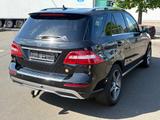Mercedes-Benz ML 350 ML -Klasse ML 350 CDI BlueTec*TÜV Neu - Mercedes-Benz ML 350: Geländewagen