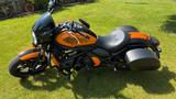 Kawasaki Vulcan S Café - Offers matching your search criteria