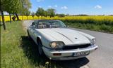 Jaguar XJS 4.0 Convertible - Jaguar XJS mit Benzin-Antrieb: Cabrio