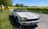 Jaguar XJS 4.0 Convertible - Jaguar XJS
