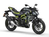 Kawasaki Z125  (Modell 2026) inkl. 4 Jahren Garantie! - Offers