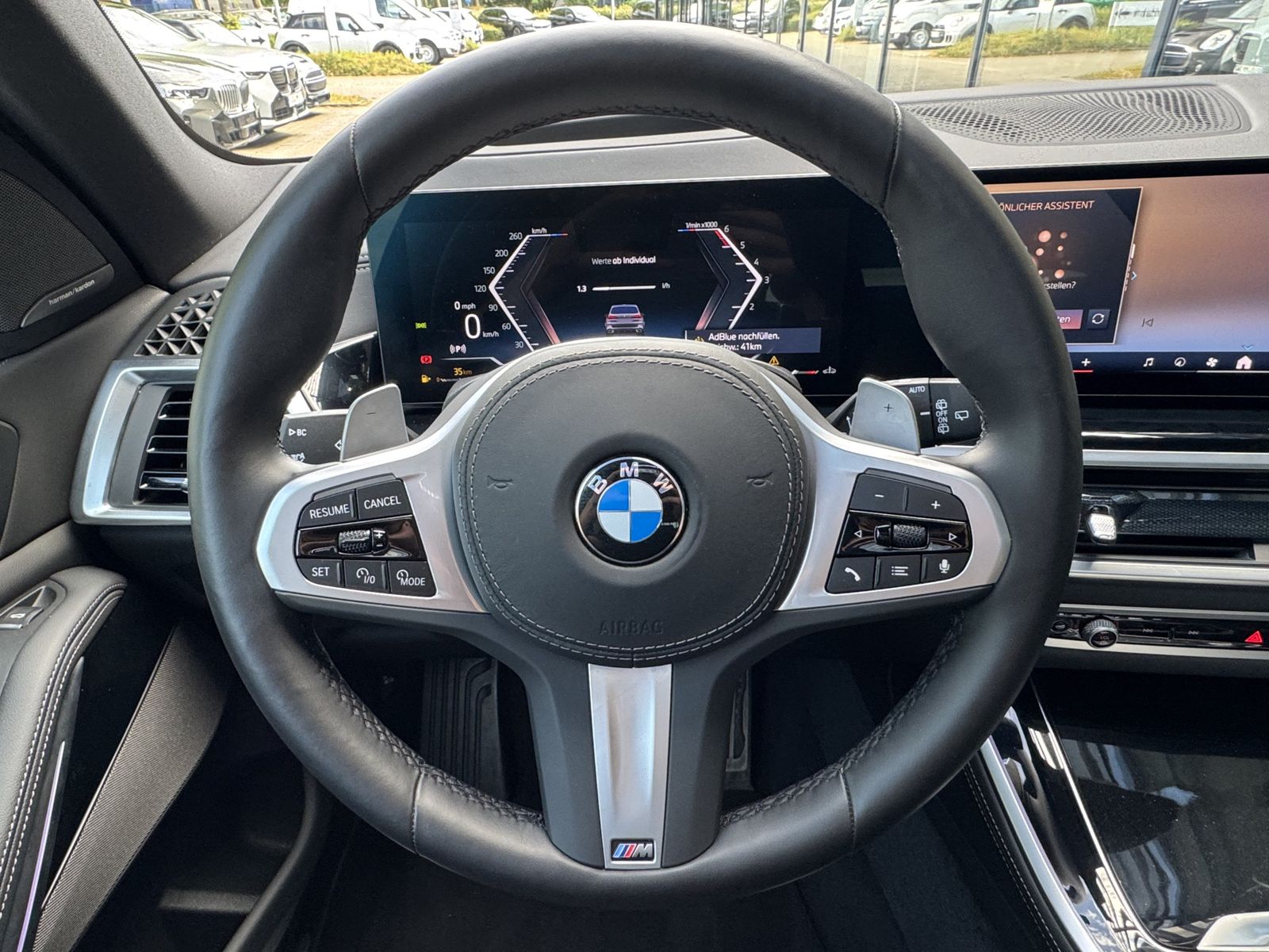 BMW X5 - Bild 7