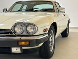 Jaguar XJS coupe V12 HE 35.896 km ! 22.500 € - weiße Jaguar XJS