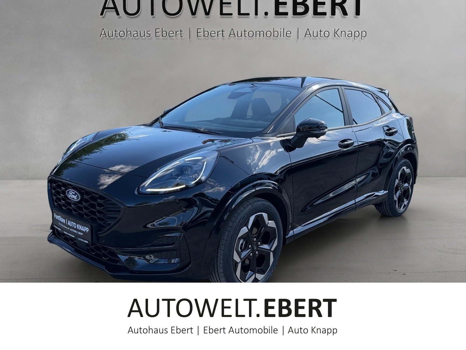 Ford Puma ST-Line X LED Matrix 19Zoll Winter Paket