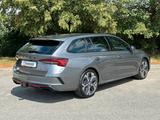 Skoda RS 195kW DSG NAVI DCC PADACH KAMERA eHK LM19"AHK - : Grau, Stoff