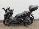 Honda Forza 350 - sehr guter Zustand ! - Angebote