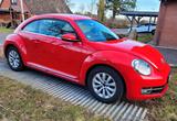 Volkswagen New Beetle - Volkswagen New Beetle aus 2013