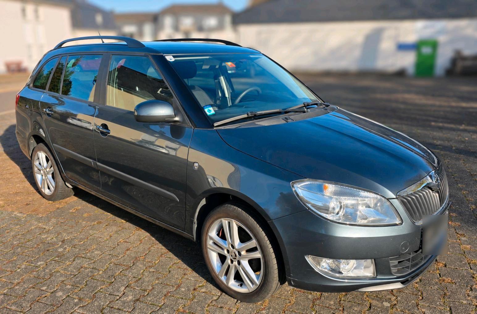Skoda Fabia 2013 — photo 9
