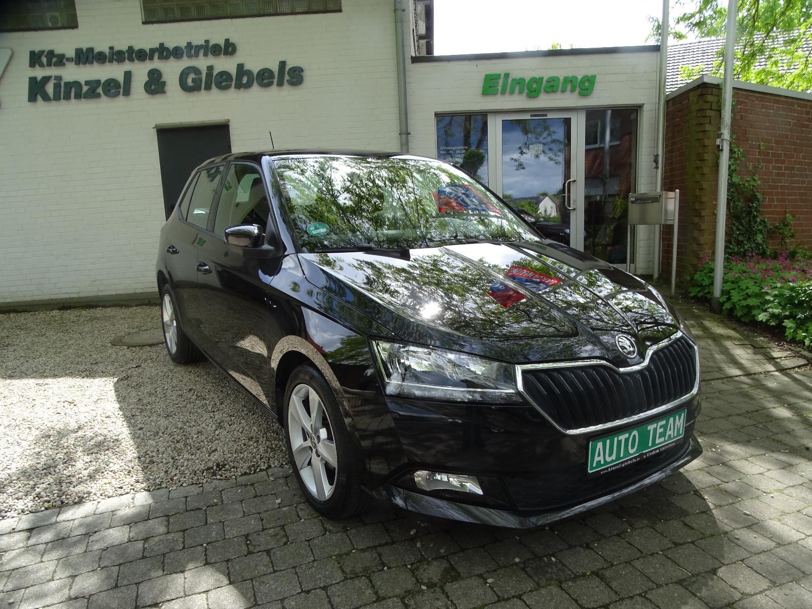 Skoda Fabia Cool Plus PDC SHZ