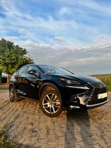 Lexus NX 300h Executive Line *TOP GEPFLEGT* - Lexus in Osnabrück