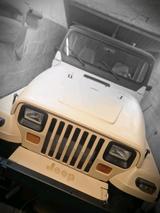 Jeep Wrangler  YJ. 2,5 ltr. - gebrauchte Jeep Wrangler aus dem Jahr 1989