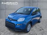 Fiat Panda Hybrid 1.0l 70PS - Fiat Panda Gebrauchtwagen in Nürnberg