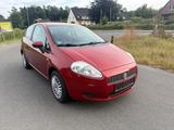 Fiat Punto 1.2 8V Grande/Klima/eFH - Fiat Punto Gebrauchtwagen in Hamburg