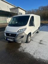 Fiat Ducato - Fiat Ducato Gebrauchtwagen in Stuttgart