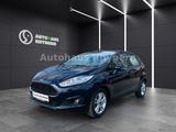 Ford Fiesta 1.0 TSI 74 kW Celebration - Ford Fiesta: 7