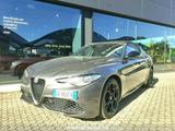 Alfa Romeo Giulia Giulia 2.2 Turbodiesel 210 CV  - gebrauchte Alfa Romeo Giulia aus dem Jahr 2020