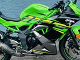 Kawasaki NINJA 125 MIT ARROW SPORTAUSPUFF SH-GEPFLEGT - KAWASAKI NINJA 125