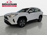 Toyota RAV 4 HYBRID 2.5 VVT-I ECVT BUSINESS EDITION 4X2
