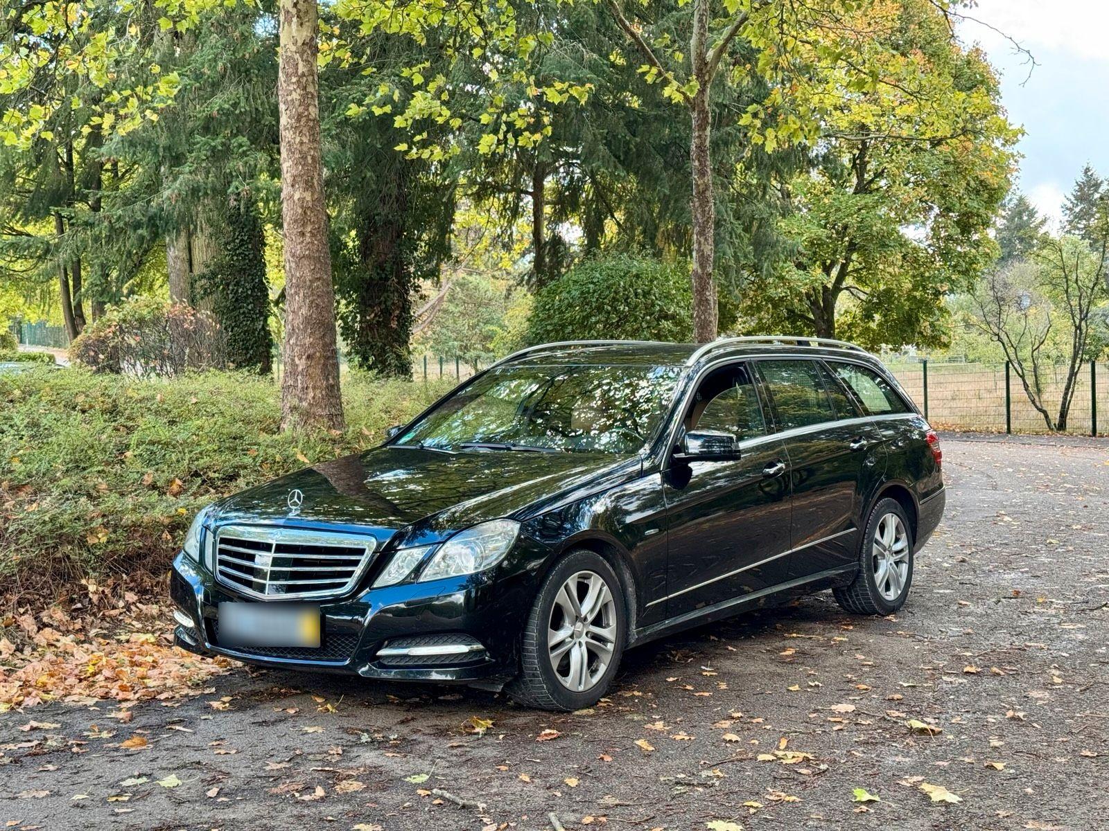 Mercedes-Benz E300 2010 — rear view