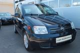 Fiat Panda 1.2 8V Dynamic *TÜV-NEU* - Fiat Panda aus 2011: Allradantrieb