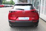 Mazda CX-30 M-Hybrid G-150 AWD AT Selection ACT-P NAVI - Mazda CX-30: Selection