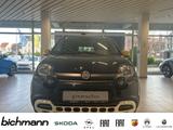 Fiat Panda Pandina Cross 1.0 Klima PDC DAB NSW - Fiat Panda Pandina mit Benzin-Antrieb