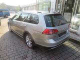 Volkswagen Golf Variant Alltrack 2.0 TDI 4-MOTION ALLTRACK - Volkswagen Golf: Alltrack