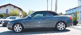 Audi S4 Cabriolet 4.2 quattro 1. Hand !!! - Audi aus 2005: Cabrio