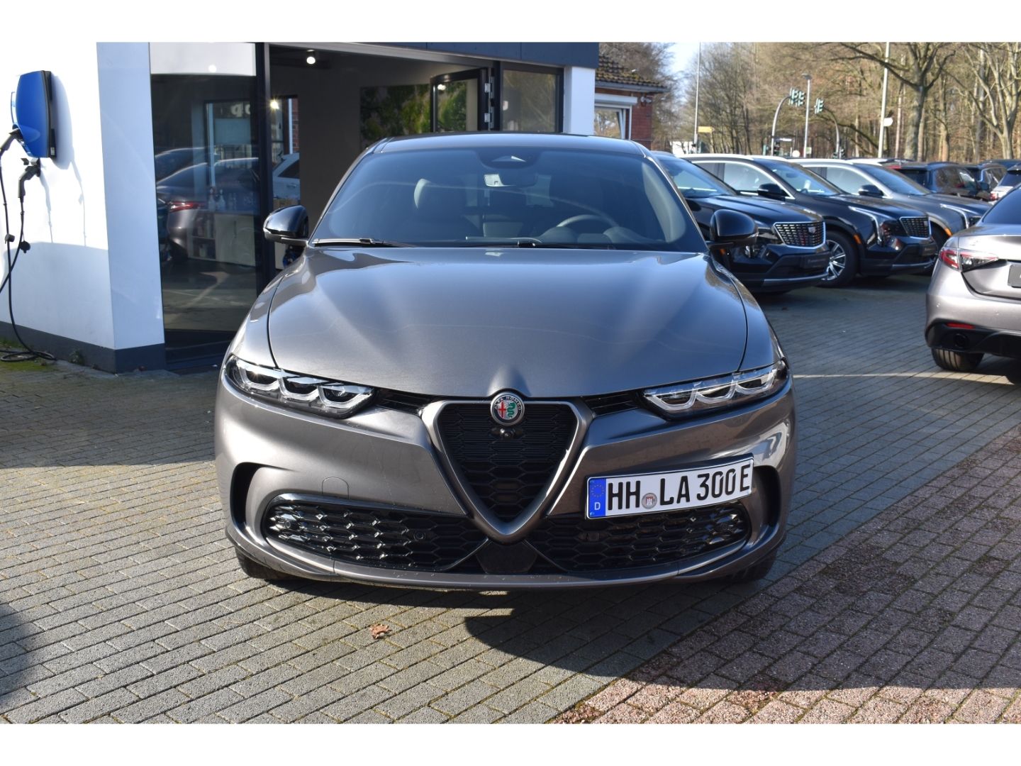 Fahrzeugabbildung Alfa Romeo Tonale 1.5 MHEV EDIZIONE SPECIALE Winterpaket As