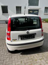 Fiat Panda - Fiat Panda Gebrauchtwagen in Dortmund
