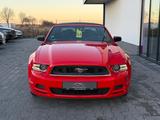 Ford Mustang Cabrio 3.8 Automatik - Ford Gebrauchtwagen von 2013