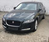 Jaguar XF Portfolio-Leder-Pano-SHZ-PDC-BT - Jaguar: Grün