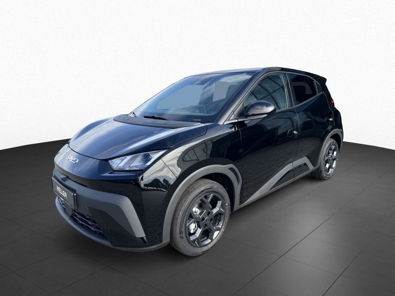 BYD DOLPHIN SURF