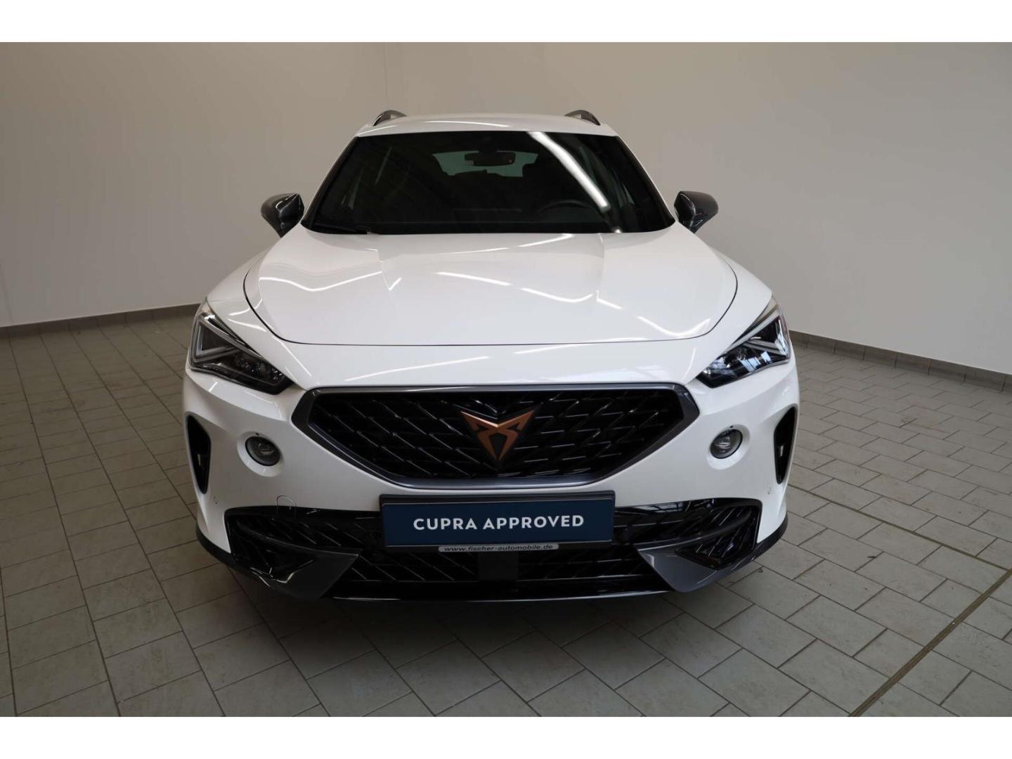 Cupra Formentor 2.0 TSI 4Drive VZ DSG LED/ACC/RFK/DAB+, миниатюра 3