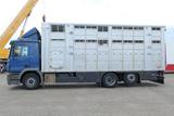 Mercedes-Benz 2541 L Actros 6x2, Finkl, 3 Stock,Kombi Liner XL - Mercedes-Benz 2008 Actros