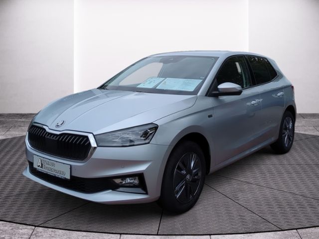 Fahrzeugabbildung SKODA Fabia 1.0 TSI Tour WINTER PLUS LENKRADHZG
