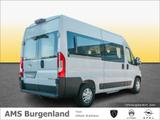 Opel Movano C L2H2 Kombi, 9-Sitzer, Zusatzklima/Heizu - Opel Movano: Van