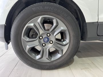 Ford EcoSport Trend Tempomat  Winter-Paket